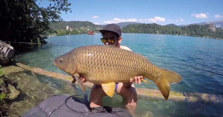 La canna e il mulinello da Carpfishing: una guida per principianti