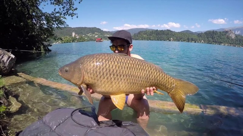 La canna e il mulinello da Carpfishing: una guida per principianti