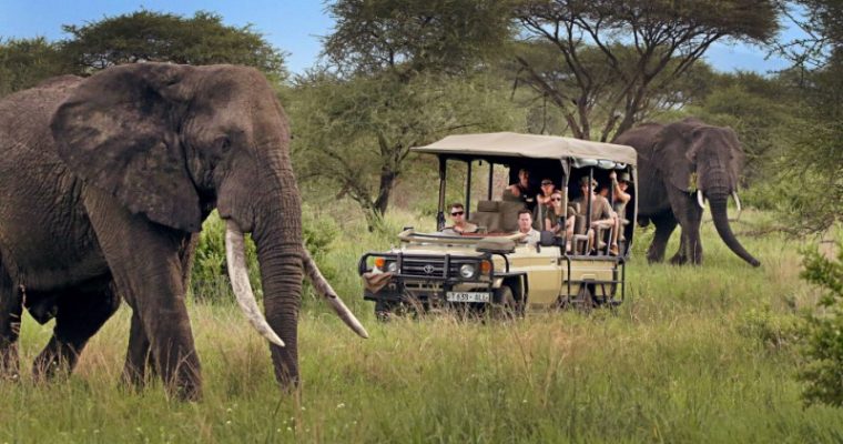 Tutto quello che bisogna sapere per organizzare un safari in Tanzania