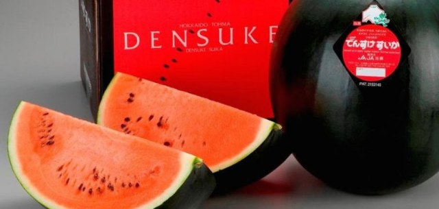 Le angurie densuke: il famoso cocomero nero giapponese
